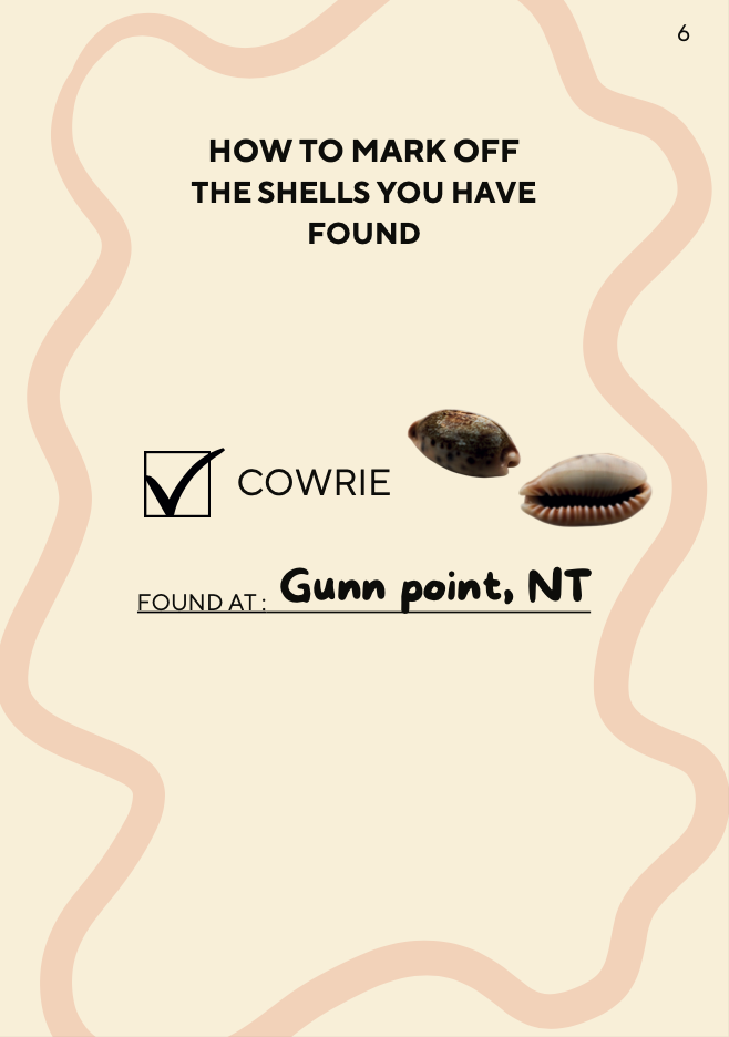 Curious About Shells - Shell facts and identification checklist
