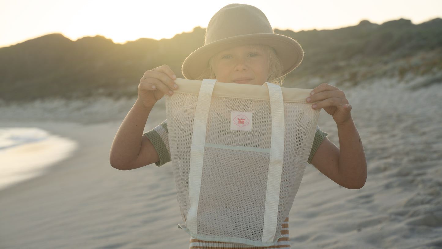 Shell collecting, cleaning and restoration kit