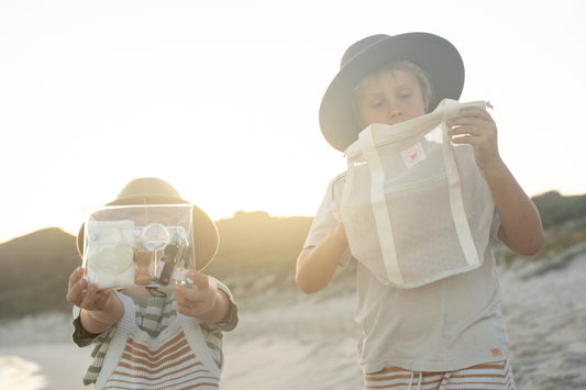 Shell collecting, cleaning and restoration kit