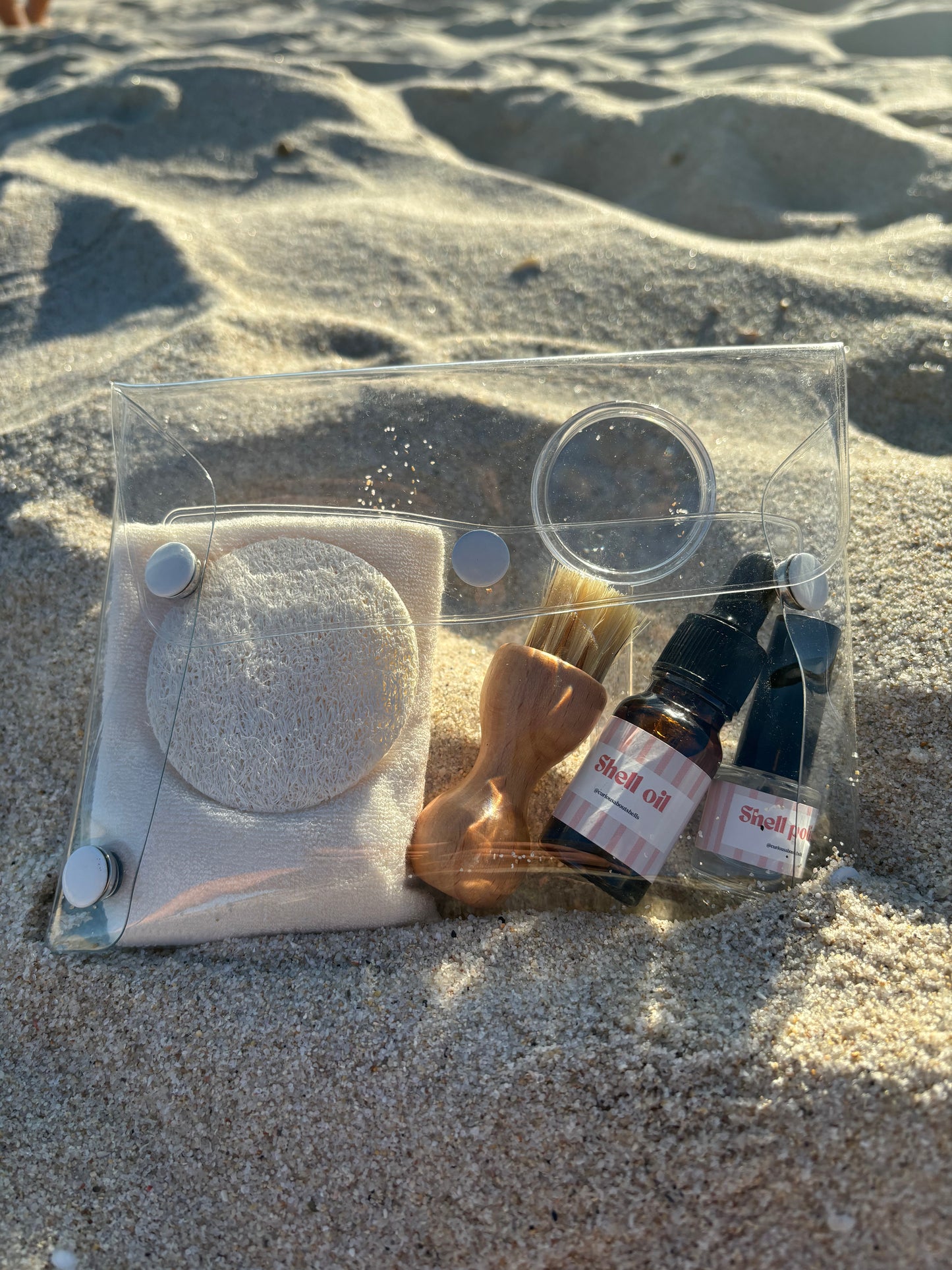 Shell collecting, cleaning and restoration kit