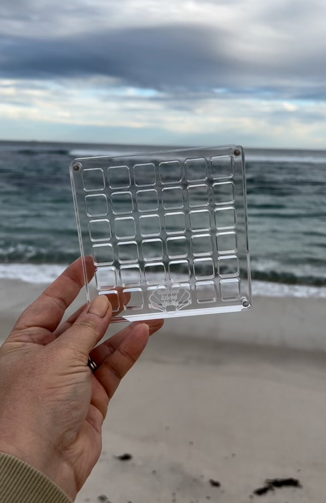 Shell display case – Curious About Shells