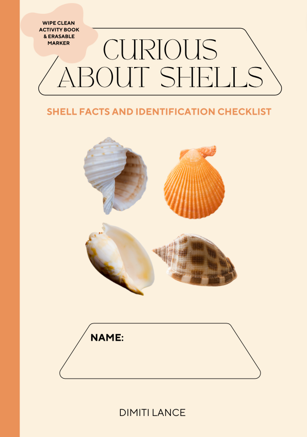 Shell collecting kit + Curious About Shells activity book + SHELL SCOO